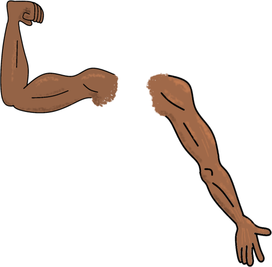 arms